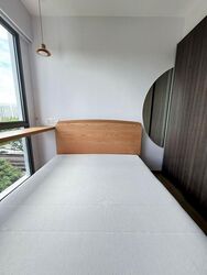 the-visionaire photo thumbnail #18